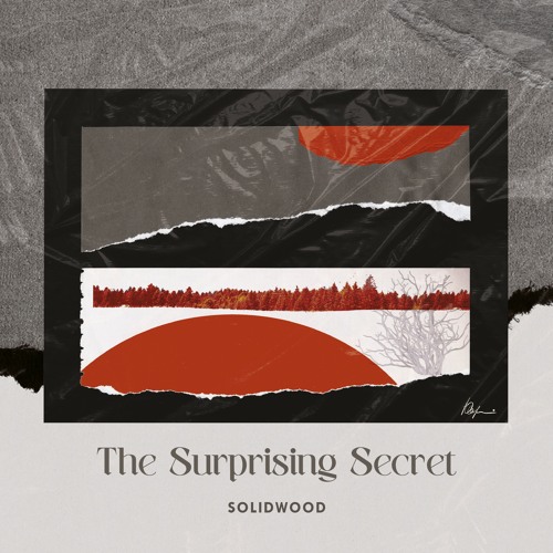 PB001 Solidwood - The Surprising Secret