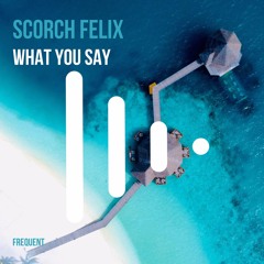 What You Say - Scorch Felix Beatport Exclusive 29/6/21