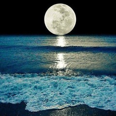 My feelings [prod. Shem]