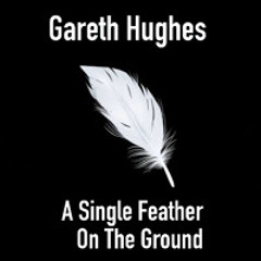 A single feather on the ground