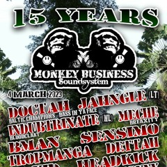 Indubtrinate - 15 Years Monkey Business Promomix