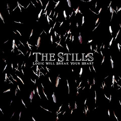 Still in Love Song