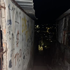 Fininha de Cria 🚩