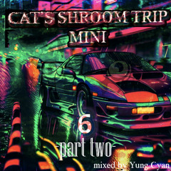 Cat's Shroom Trip Mini 6 Part 2 (December 2025 RIDDIM DUBSTEP Mixtape)