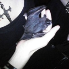 in the mind of a goth boy