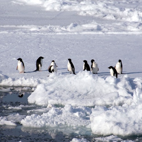 Eureka Talks Series: Antarctica