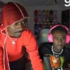 birdz ft gloccs (nomiraymember)