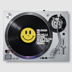 Big Bass Vs Michelle Narine - What You Do (Tommy Mc Remix) [FREE DOWNLOAD]