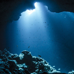 Deep into the Sea
