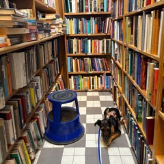 1,5 h of final tracks