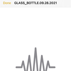 GLASS_BOTTLE.09.28.2021-demo