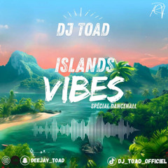 DJ TOAD - 🌴 Islands Vibes 🔥 (Spécial Dancehall 2025) 💃🏽