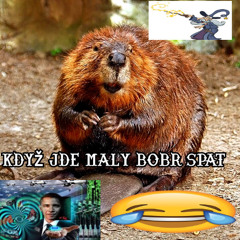 KDYŽ JDE MALÝ BOBR SPÁT