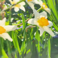 Is This Peace? (2021)