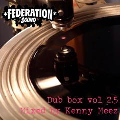 Dub Box Volume 2.5 - 100% Dubplate Mix