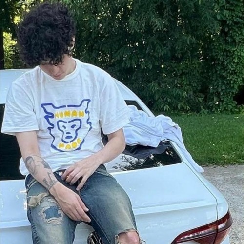 sig.carlito - l & v