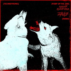 PUMP UP THE JAM (DANNY RAWFIELD & ZAULO SCHRANZ INTRO EXTENDED REMIX)