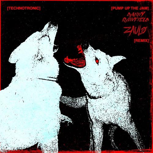 Technotronic - Pump Up The Jam (DANNY RAWFIELD & ZAULO SCHRANZ EXTENDED REMIX)