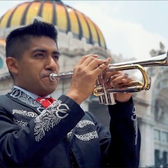 Trumpet and drum procession along Calle Sinaloa Mexico City 9/20/24