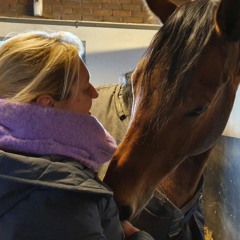 De kracht van verbinding