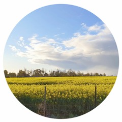 Errorrhythm and Gary Barking - Meadow / 125