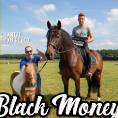 $$$ DJ BLACK MONEY $$$ -Beste Paard Van Stal (Chantal) - Hexo remix