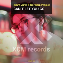 Bram VanK & Northern Project - Cant Let You Go (radio Edit)