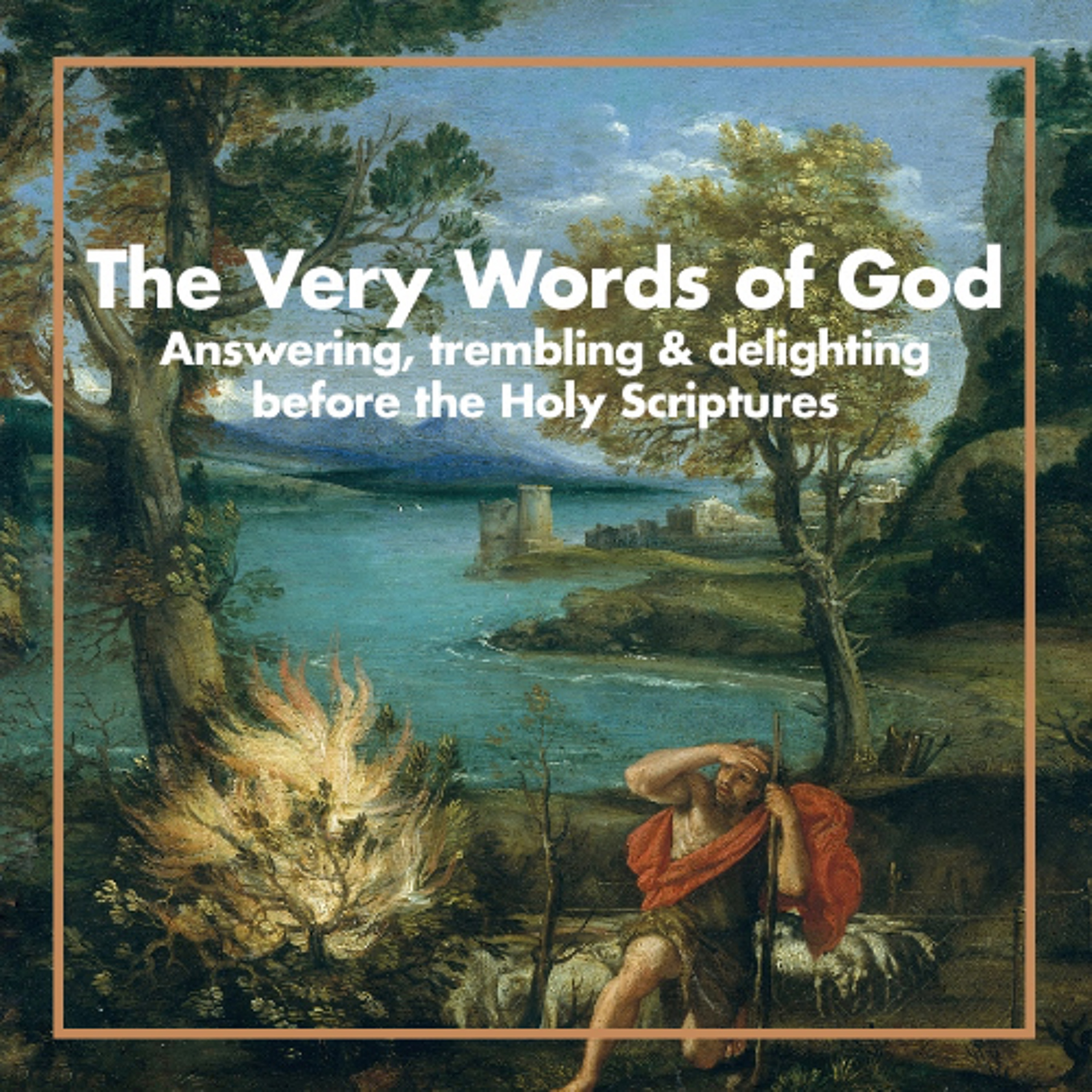 A Library of Complex Artistry (The Bible as Literature) episode artwork