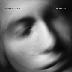 THE SHAKES — Double Exposure (Alternate Version)