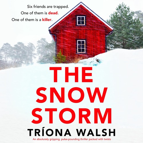 The Snowstorm by Tríona Walsh, narrated by Jacqueline Milne