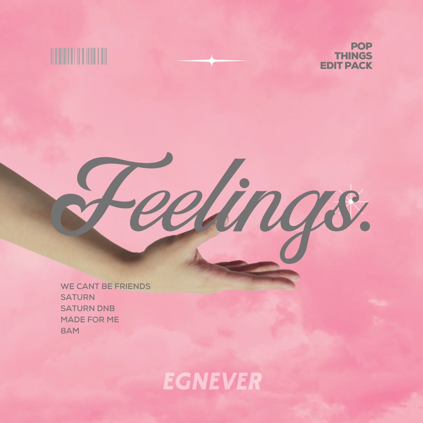 We Can’t Be Friends (Egnever Edit)