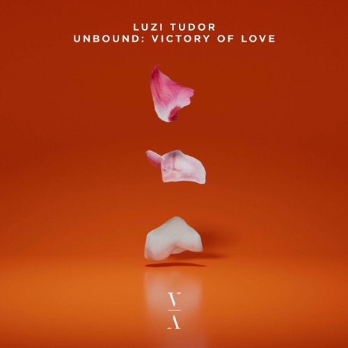 Luzi Tudor - Into Me See