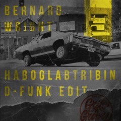 Bernard Wright - Haboglabtribin (D-Funk's G'z & Hustlas Edit)