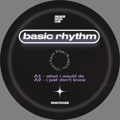 SNKR026 – Basic Rhythm – What I Would Do (Snippets)
