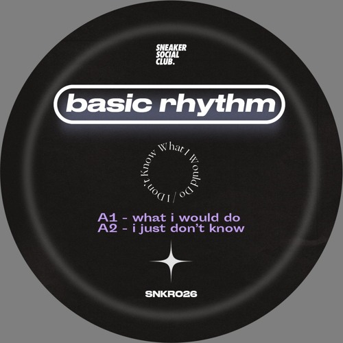 SNKR026 – Basic Rhythm – What I Would Do (Snippets)