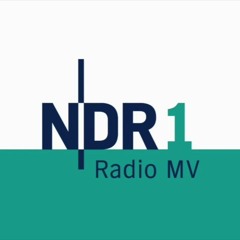 Radiobeitrag des NDR zur Premiere von "Wie macht man gute Kunst für Ostdeutsche?"