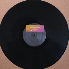 Premiere : Roto - The Test (UNIT-Y003)