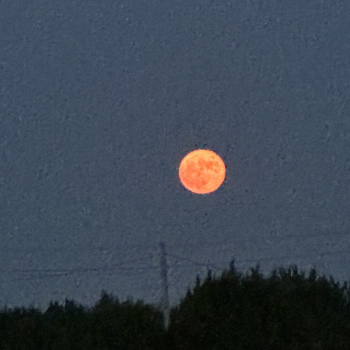 Spinnin’- Nizzy,Larai and Sway