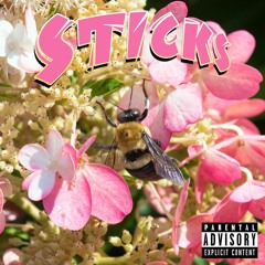 STICKS FREESTYLE (Prod. Ganzo)