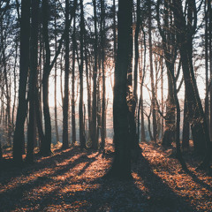 Dub Techno Session | 110