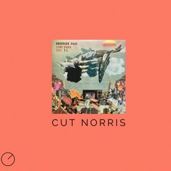 Cut Norris - Come Down Remix