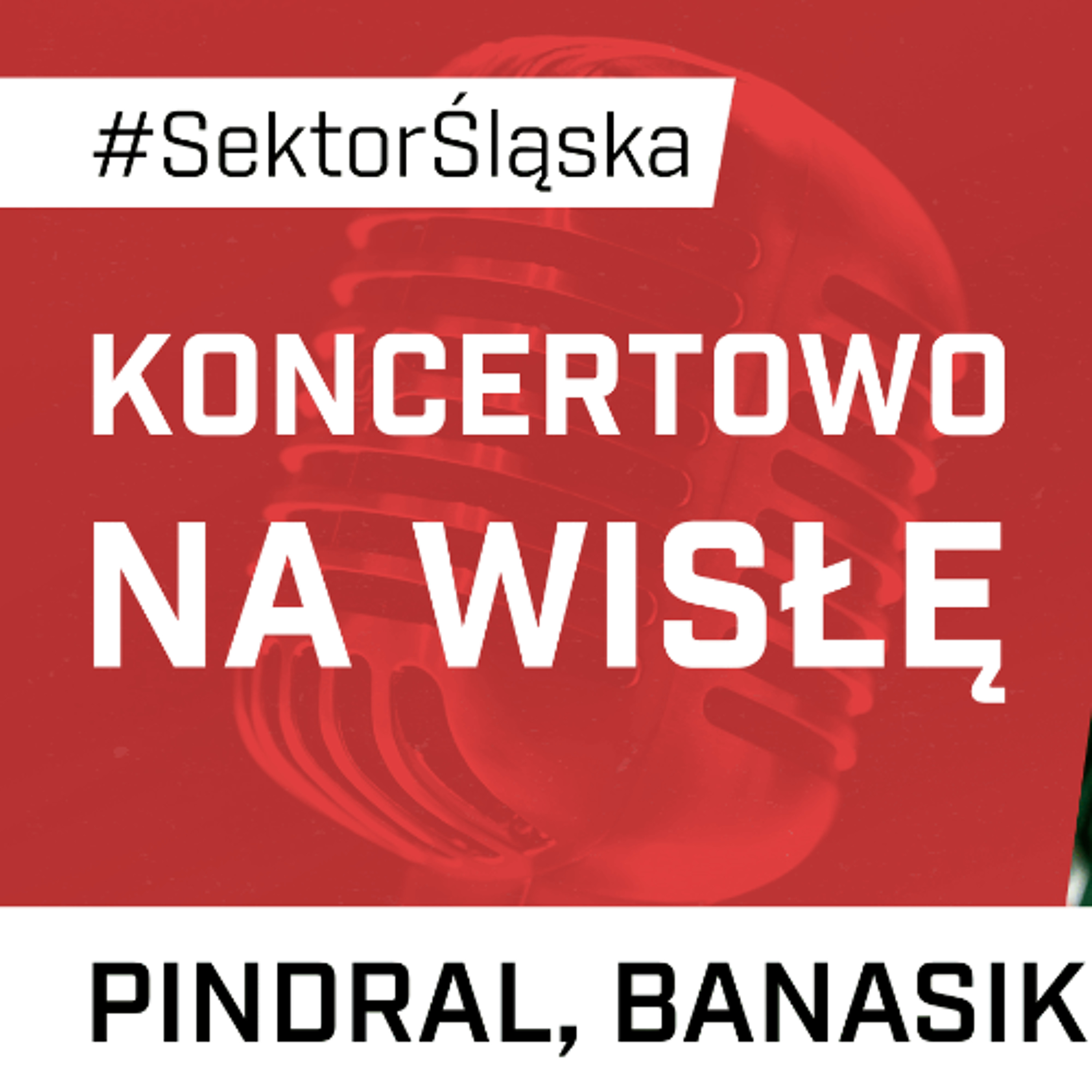 Śląsknet