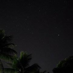 Stars in the Night Sky