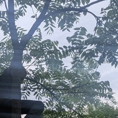 Light as a Feather