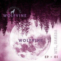 Wolfvine Productions  - Deep House mix by Wolfvine