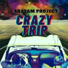 Shazam Project - Crazy Trip