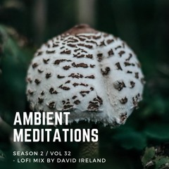 Ambient Meditations Season 2 - Vol 32 - LoFi Mix By David Ireland