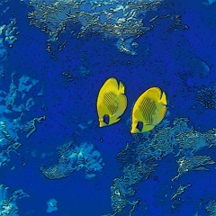 Into Blue Water