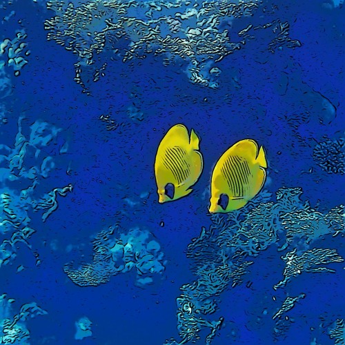 Into Blue Water