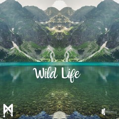 Mfinity - Wild Life